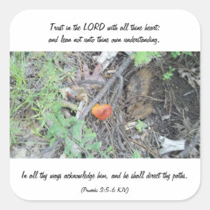 Proverbs 3:5-6 fyrkantigt klistermärke