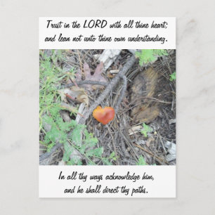 Proverbs 3:5-6 vykort