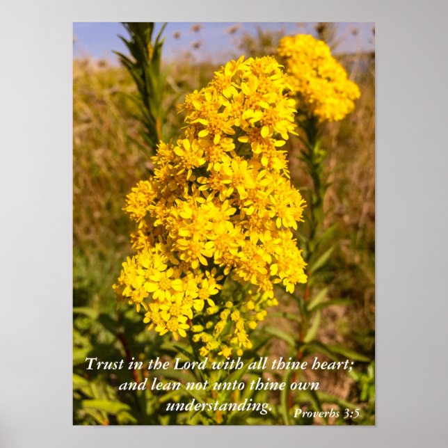 Proverbs 3:5 Bible verse poster (Framsidan)