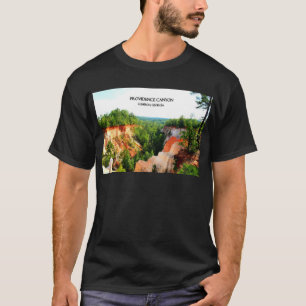 PROVIDENCE KANJON - Lumpkin, Georgia T-shirt