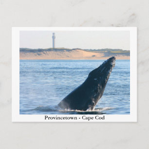 Provinsen - vykort för Cape Cod