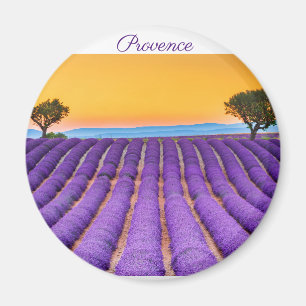 Provning Magnet