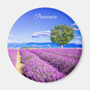 Provning Magnet