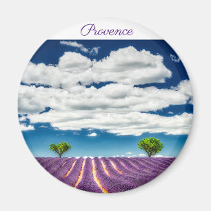 Provning Magnet