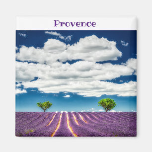 Provning Magnet