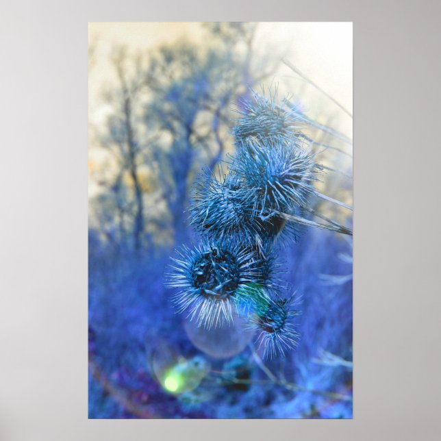 Provning vid Lila Poster (Framsidan)