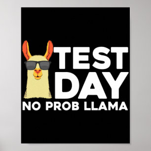 Provningsdag För manar Women Llama Teacher Testdag Poster