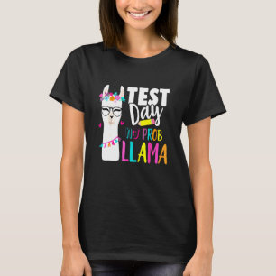 Provningsdag för professor J. T Shirt