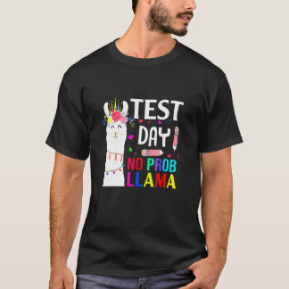 Provningsdag för professor Llama Llama Llama-lärar T Shirt