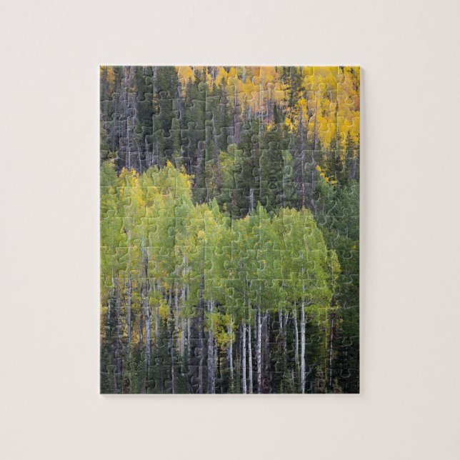 Provo River och aspen träd Pussel (Vertikal)