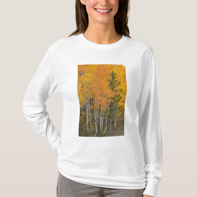 Provofloden och asp t-shirt (Framsida)
