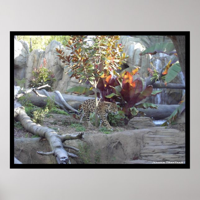 Prowl Poster (Framsidan)