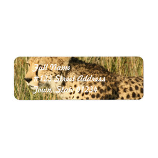 Prowling Cheetah Mailing Label Returadress Etikett