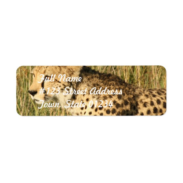 Prowling Cheetah Mailing Label Returadress Etikett (Framsidan)