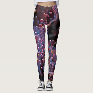 Proxima Leggings