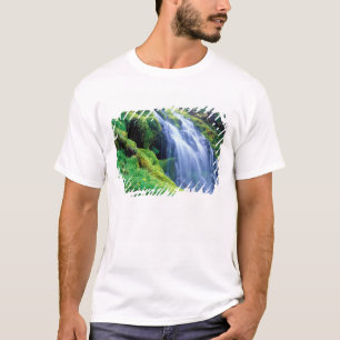 Proxy Falls i centrala Oregon Cascades. Tröja