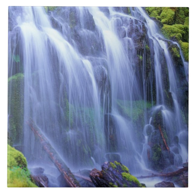 Proxy Falls i Oregons centrala bergskedja Cascade  Kakelplatta (Framsidan)