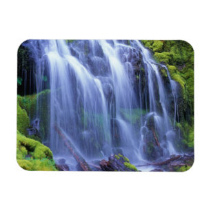 Proxy Falls i Oregons centrala bergskedja Cascade Magnet