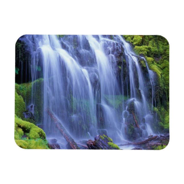 Proxy Falls i Oregons centrala bergskedja Cascade Magnet (Horisontell)