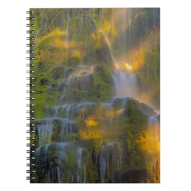 Proxy Falls Three Sisters Wilderness Oregon Anteckningsbok (Framsidan)