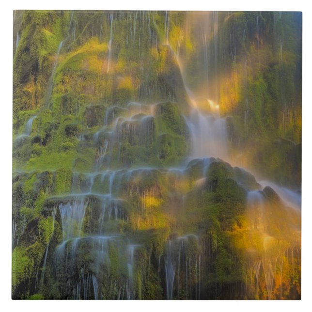Proxy Falls Three Sisters Wilderness Oregon Kakelplatta (Framsidan)