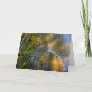 Proxy Falls Three Sisters Wilderness Oregon Kort