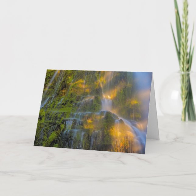 Proxy Falls Three Sisters Wilderness Oregon Kort (Framsida)