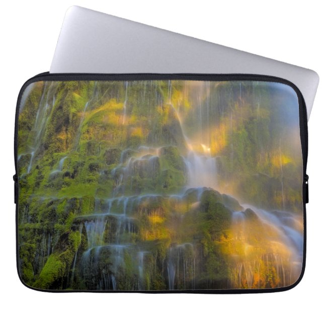 Proxy Falls Three Sisters Wilderness Oregon Laptop Fodral (Framsidan)
