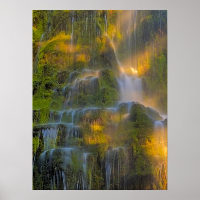 Proxy Falls Three Sisters Wilderness Oregon Poster (Framsidan)