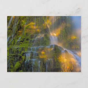 Proxy Falls Three Sisters Wilderness Oregon Vykort