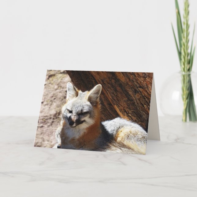 Proxy, tomt gratulationskort kort (Framsida)