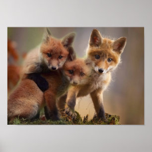Proxytriplet Poster