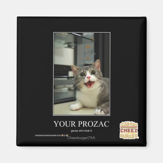 Prozac Magnet (Framsidan)