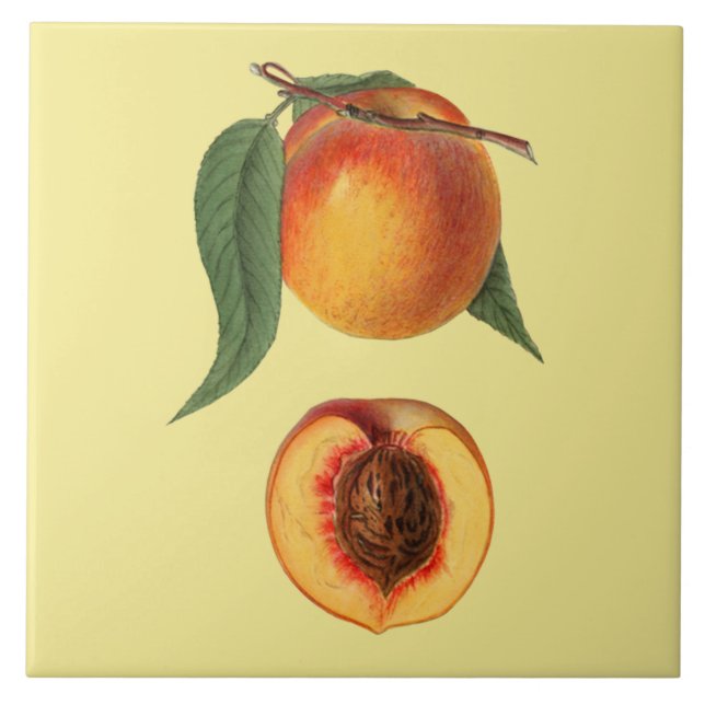 Prunus Persica Peach~Botaniskt ~Kitchen ~Valfri Fä Kakelplatta (Framsidan)