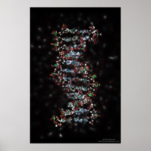 Prydd med ädelsten DNA Poster