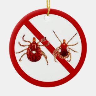 Prydnad- eller dörrhängare, ingen Lyme! Julgransprydnad Keramik