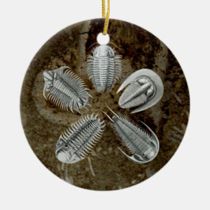 Prydnad för 5 Trilobites Julgransprydnad Keramik
