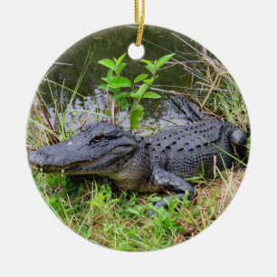 Prydnad för alligator och för roseate spoonbill julgransprydnad keramik