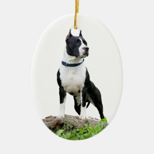 Prydnad för amerikanStaffordshire Terrier Julgransprydnad Keramik