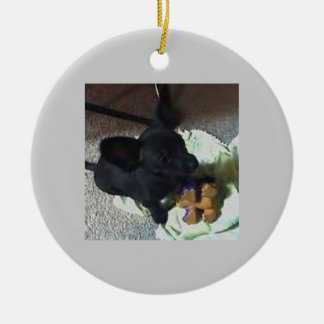 PRYDNAD FÖR BABY POKEMON JULGRANSPRYDNAD KERAMIK