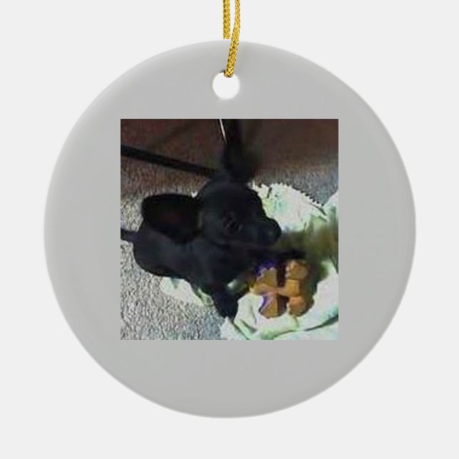 PRYDNAD FÖR BABY POKEMON JULGRANSPRYDNAD KERAMIK (Framsidan)