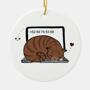 Prydnad för bärbar datorkattsäng (brun Tabby) Julgransprydnad Keramik