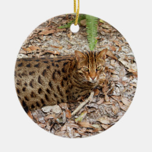 Prydnad för Bengal kattjul Julgransprydnad Keramik