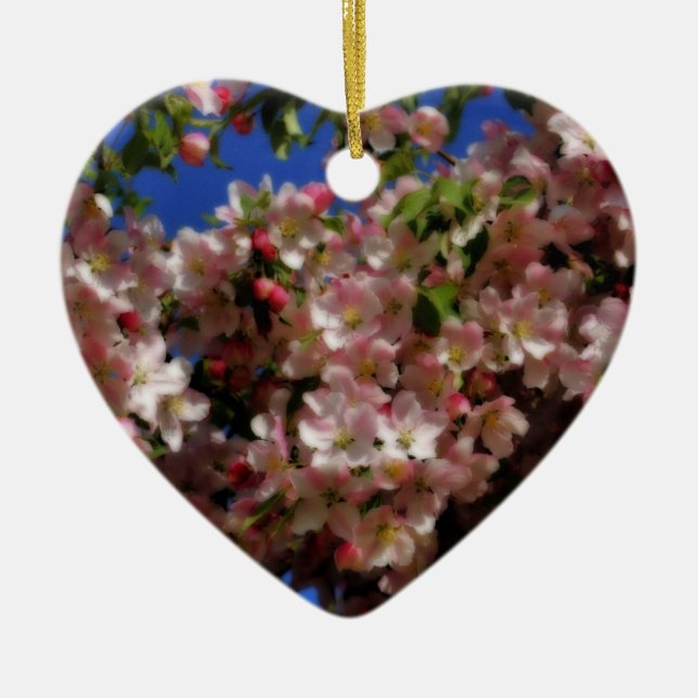 Prydnad för blomma för rosavårblommar julgransprydnad keramik (Framsidan)