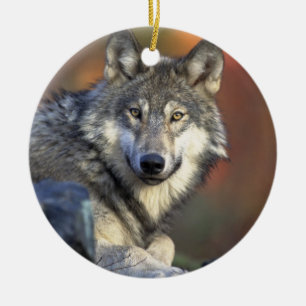Prydnad för Canis_lupus_Grey vargjul Julgransprydnad Keramik