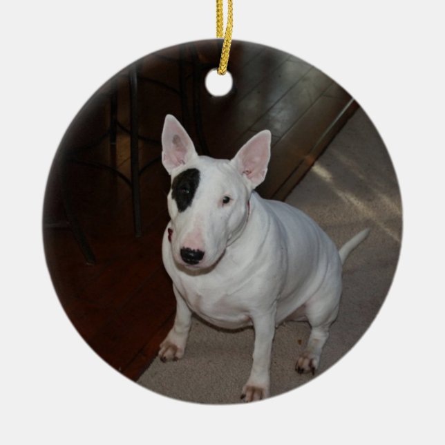 Prydnad för daisyhundjul julgransprydnad keramik (Framsidan)