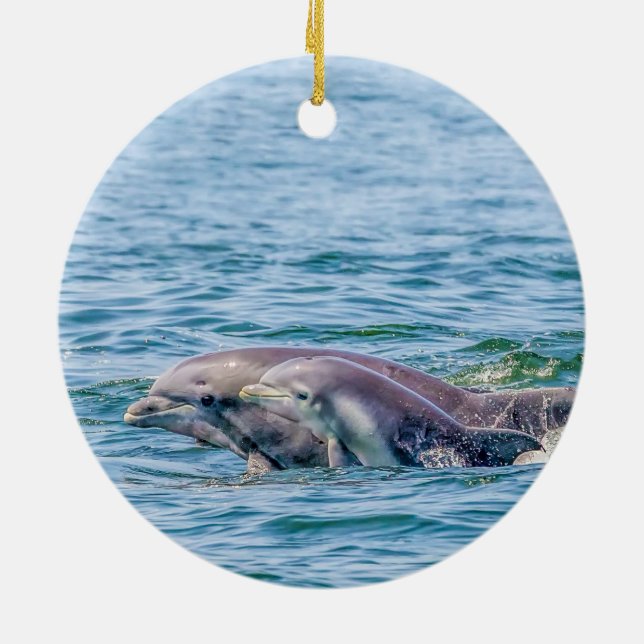 Prydnad för för mödrarkärlekdelfin & baby julgransprydnad keramik (Baksidan)