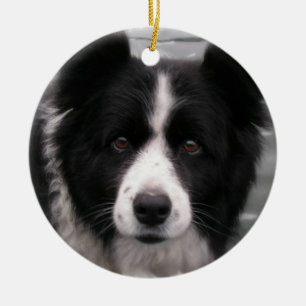 Prydnad för gränsColliehund Julgransprydnad Keramik