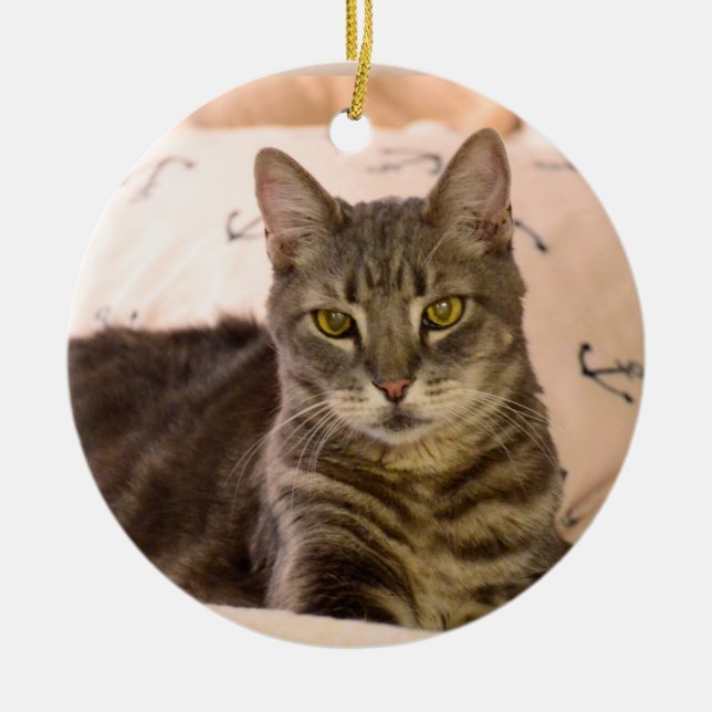 Prydnad för Greg tabby kattjul Julgransprydnad Keramik (Framsidan)