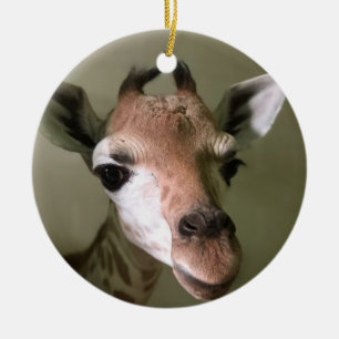 Prydnad för helgdag 2018; Encentmynt giraffet Julgransprydnad Keramik